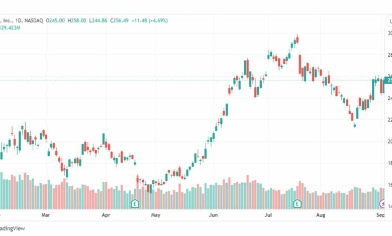 تحليل سهم تسلا-TESLA-STOCK-6-9-2023