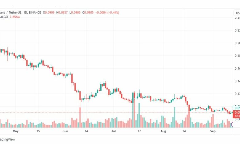 تحليل عملة ألجوراند دولار-ALGOUSDT-COIN-14-9-2023