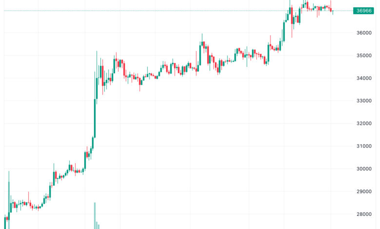 تحليل البتكوين دولار BTCUSD - 13/11/2023
