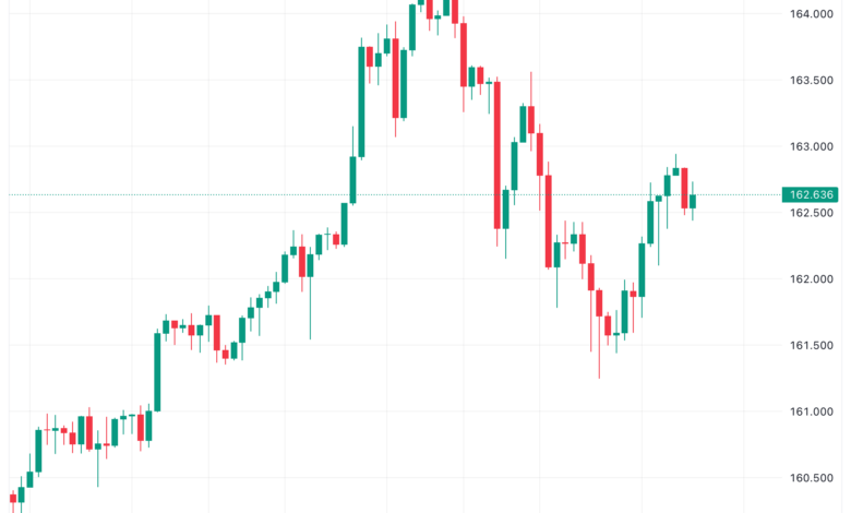 تحليل اليورو ين EUR/JPY - 23/11/2023