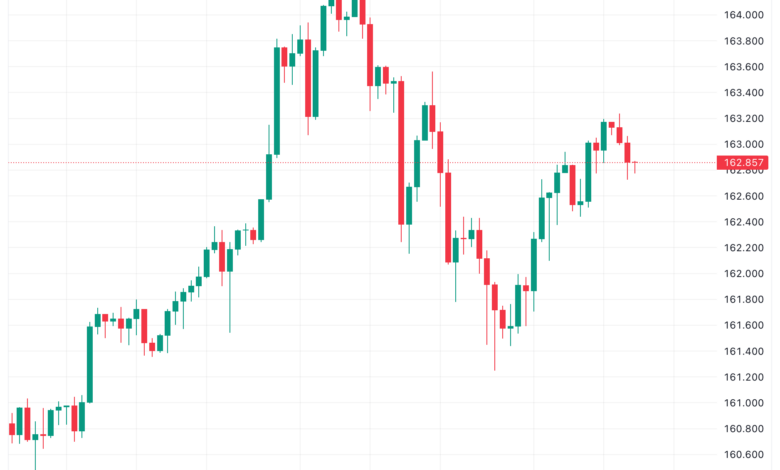 تحليل اليورو ين EUR/JPY - 24/11/2023
