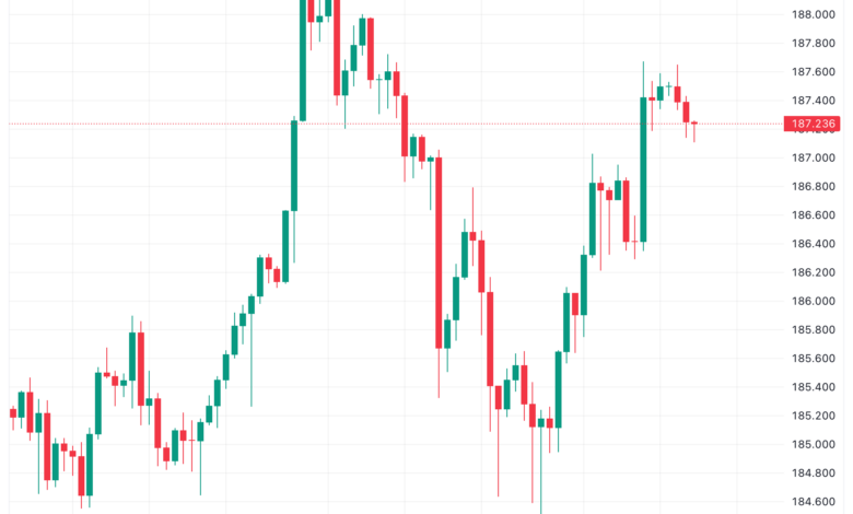 تحليل الباوند ين 24/11/2023 GBP/JPY