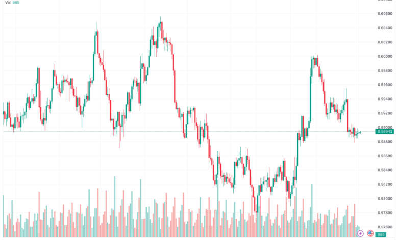 تحليل الدولار النيوزلندي NZD/USD - 13/11/2023