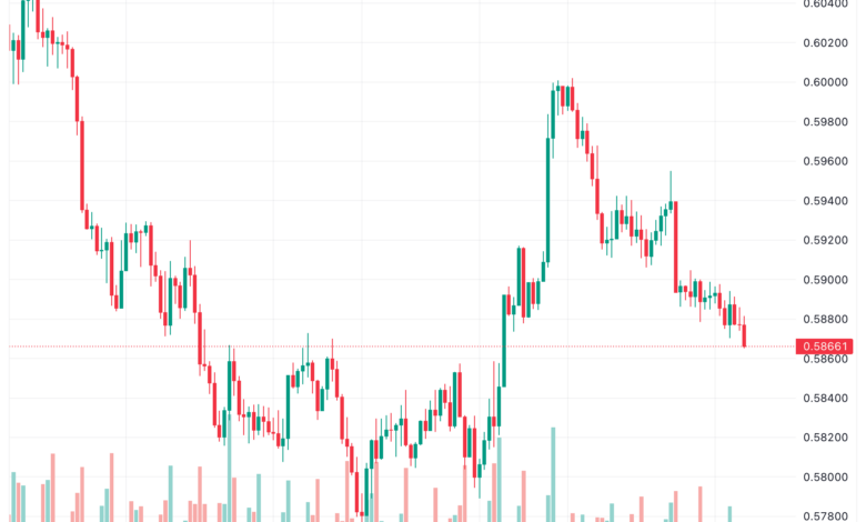 تحليل الدولار النيوزلندي NZD/USD - 14/11/2023