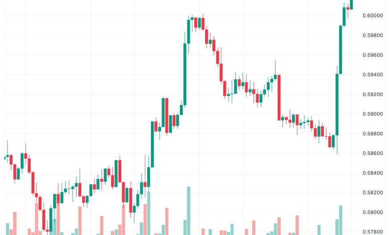 تحليل الدولار النيوزلندي NZD/USD - 15/11/2023