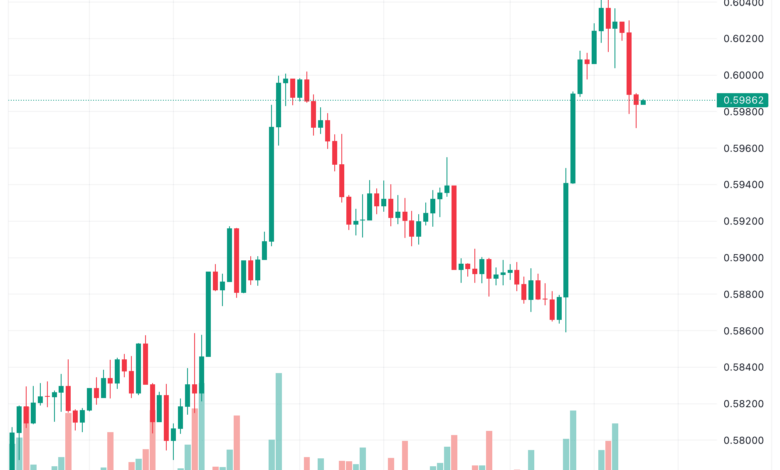 تحليل الدولار النيوزلندي NZD/USD - 16/11/2023