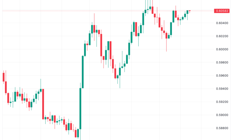 تحليل الدولار النيوزلندي NZD/USD - 24/11/2023