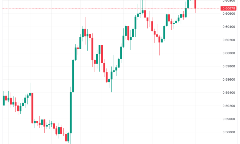 تحليل الدولار النيوزلندي NZD/USD - 27/11/2023