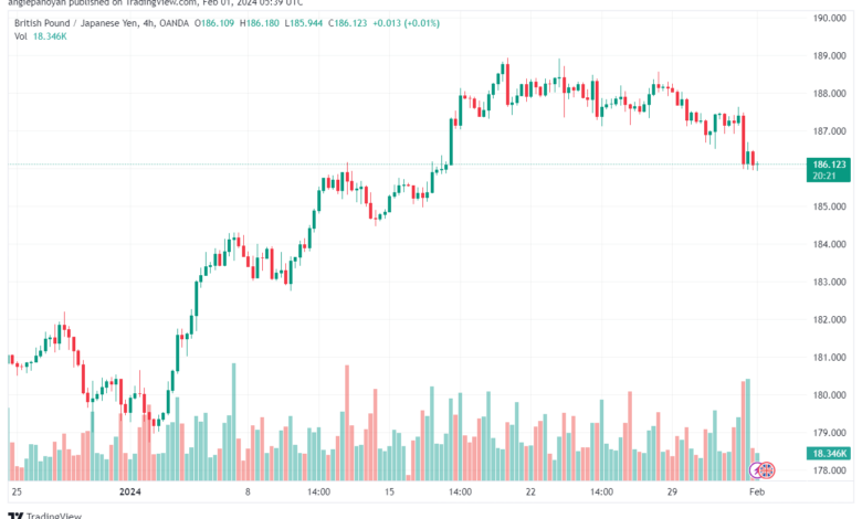 تحليل الباوند ين 122024 GBPJPY