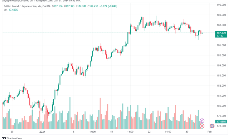 تحليل الباوند ين 3112024 GBPJPY