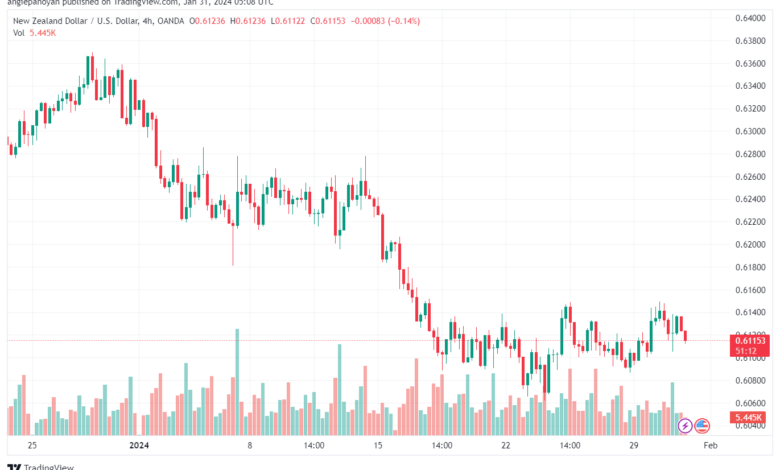 تحليل الدولار النيوزلندي NZDUSD - 3112024