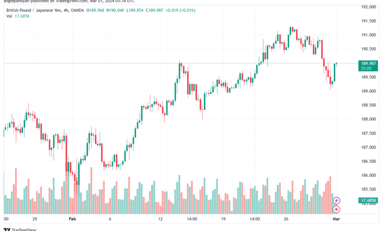 تحليل الباوند ين 132024 GBPJPY