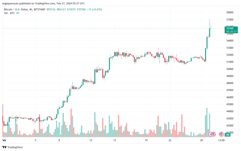 تحليل البتكوين دولار BTCUSD - 2722024