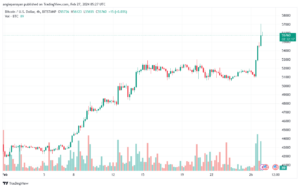 تحليل البتكوين دولار BTCUSD - 2722024