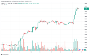 تحليل البتكوين دولار BTCUSD - 2822024