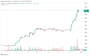 تحليل البتكوين دولار BTCUSD - 2922024