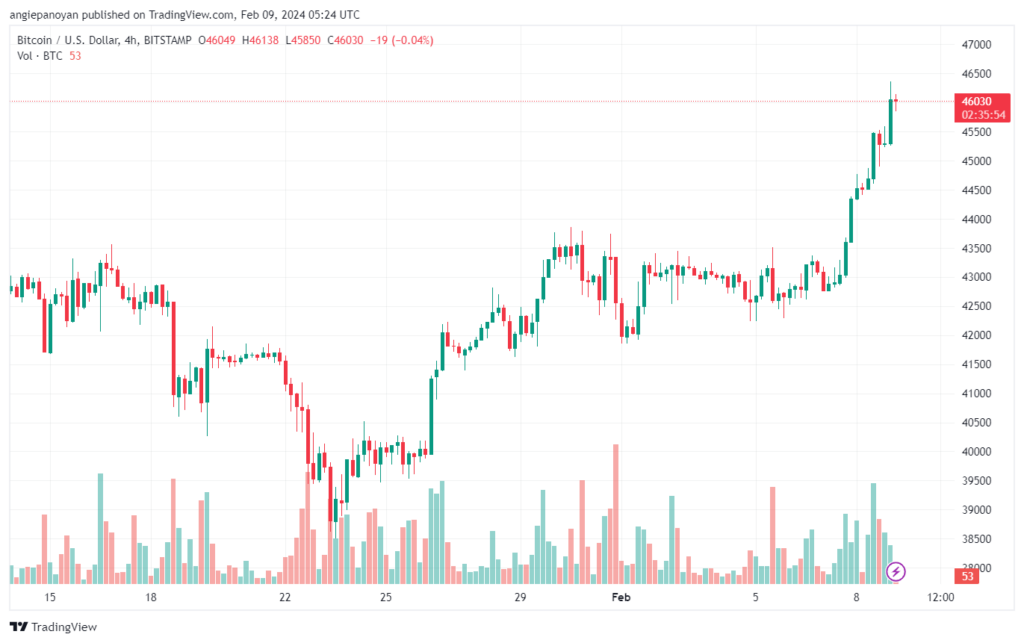 تحليل البتكوين دولار BTCUSD - 922024