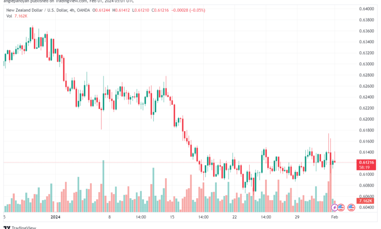 تحليل الدولار النيوزلندي NZDUSD - 122024