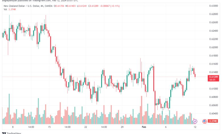 تحليل الدولار النيوزلندي NZDUSD - 1222024