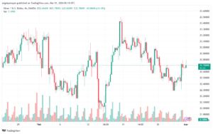 تحليل الفضة 132024 SILVER XAGUSD
