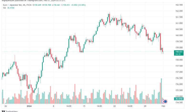 تحليل اليورو ين EURJPY - 122024