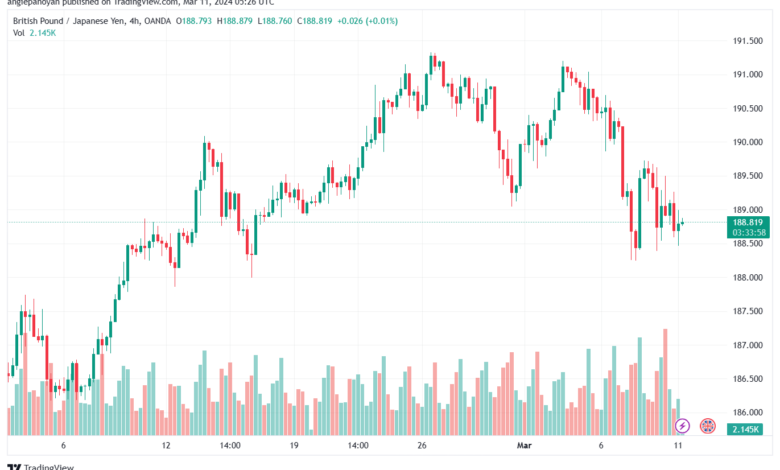 تحليل الباوند ين 1132024 GBPJPY