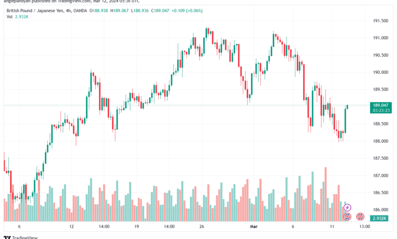 تحليل الباوند ين 1232024 GBPJPY