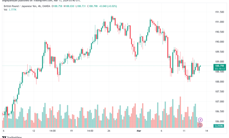 تحليل الباوند ين 1332024 GBPJPY