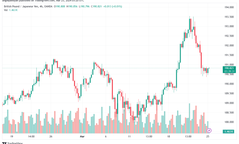 تحليل الباوند ين 2532024 GBPJPY