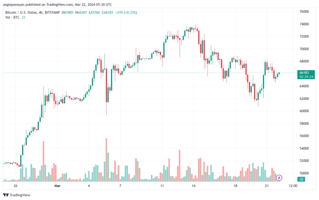 تحليل البتكوين دولار BTCUSD - 2232024