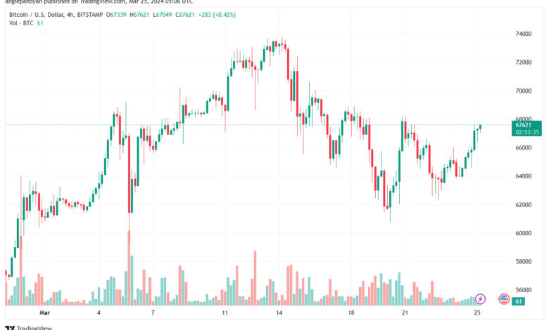 تحليل البتكوين دولار BTCUSD - 2532024