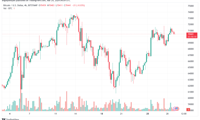 تحليل البتكوين دولار BTCUSD - 2932024