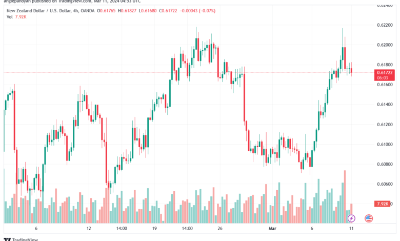 تحليل الدولار النيوزلندي NZDUSD - 1132024