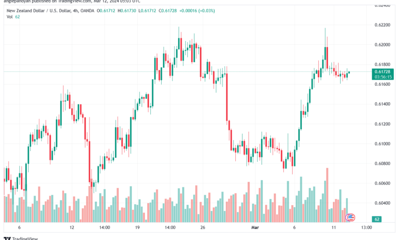 تحليل الدولار النيوزلندي NZDUSD - 1232024