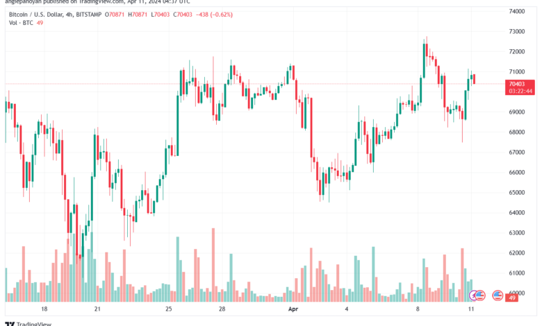 تحليل البتكوين دولار BTCUSD - 1142024