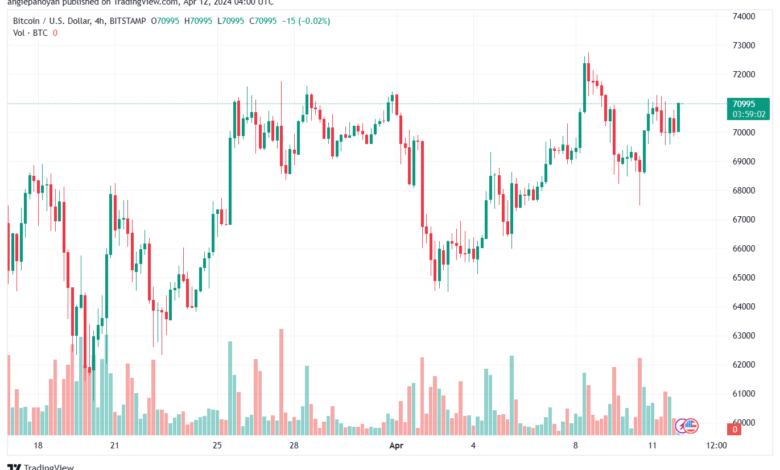 تحليل البتكوين دولار BTCUSD - 1242024