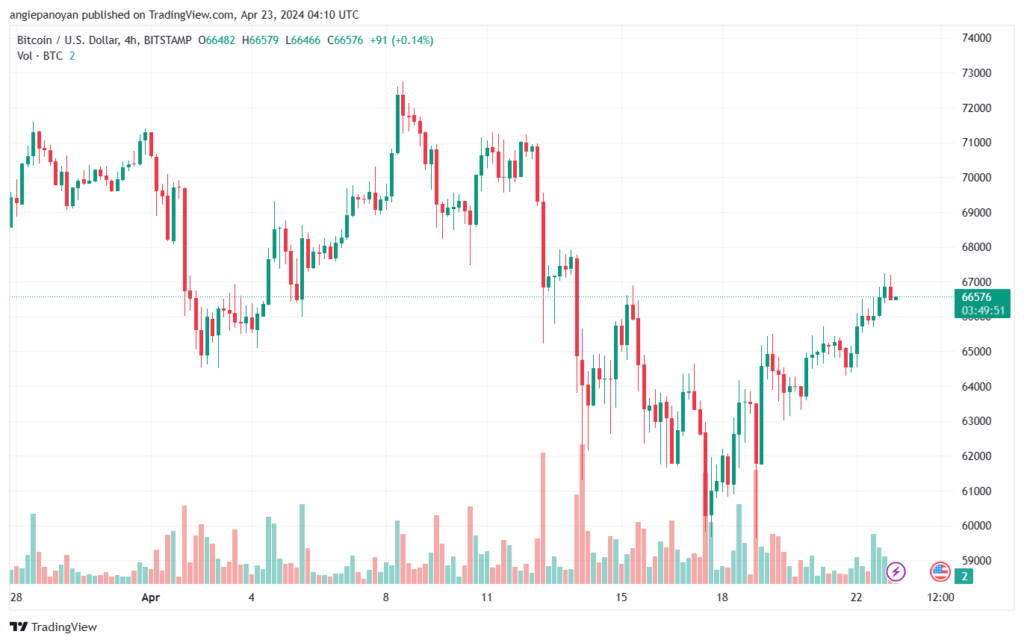 تحليل البتكوين دولار BTCUSD - 2342024