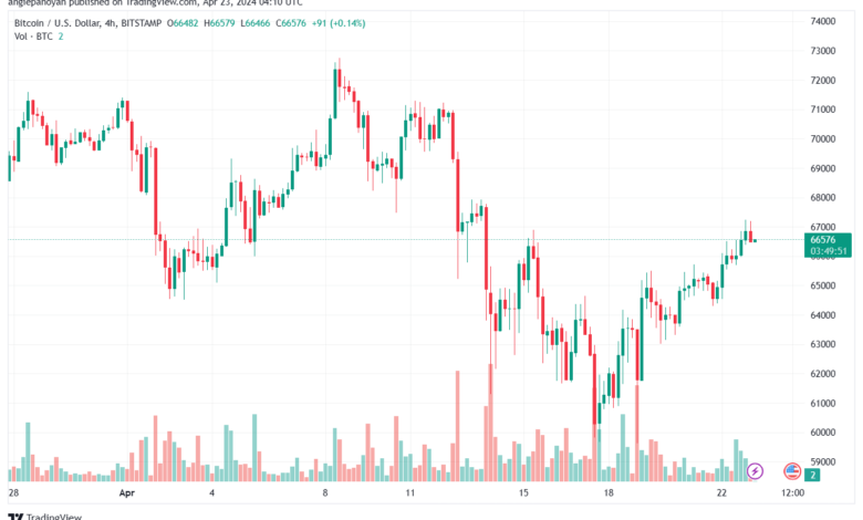 تحليل البتكوين دولار BTCUSD - 2342024