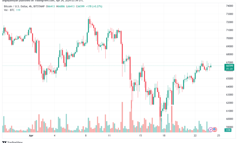 تحليل البتكوين دولار BTCUSD - 2442024