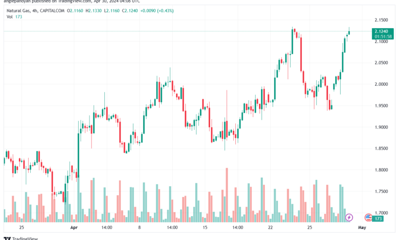 تحليل الغاز الطبيعي 3042024 NATURAL GAS
