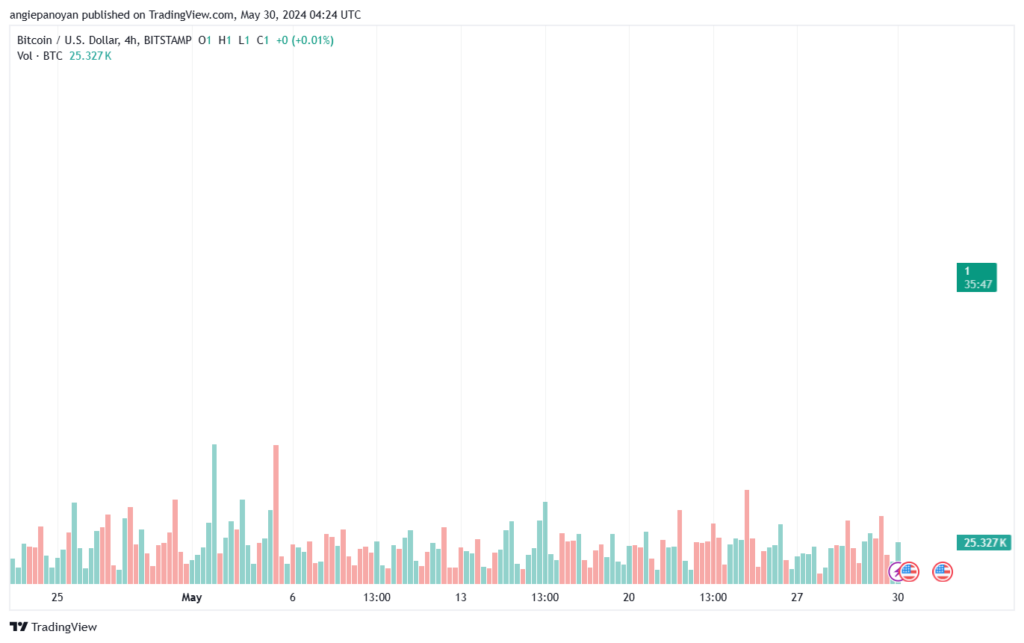 تحليل البتكوين دولار BTCUSD-30-5-2024