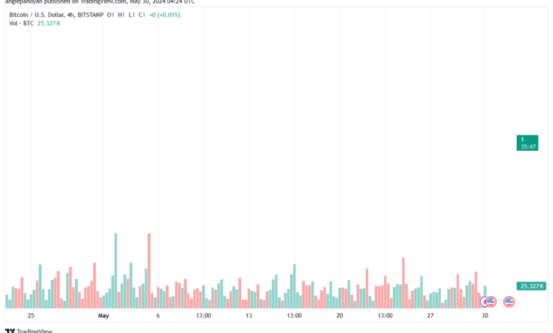 تحليل البتكوين دولار BTCUSD-30-5-2024