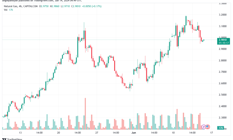 تحليل الغاز الطبيعي 14-6-2024 NATURAL GAS