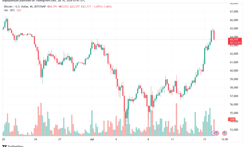 تحليل البتكوين دولار BTCUSD-16-7-2024