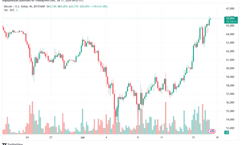 تحليل البتكوين دولار BTCUSD-17-7-2024