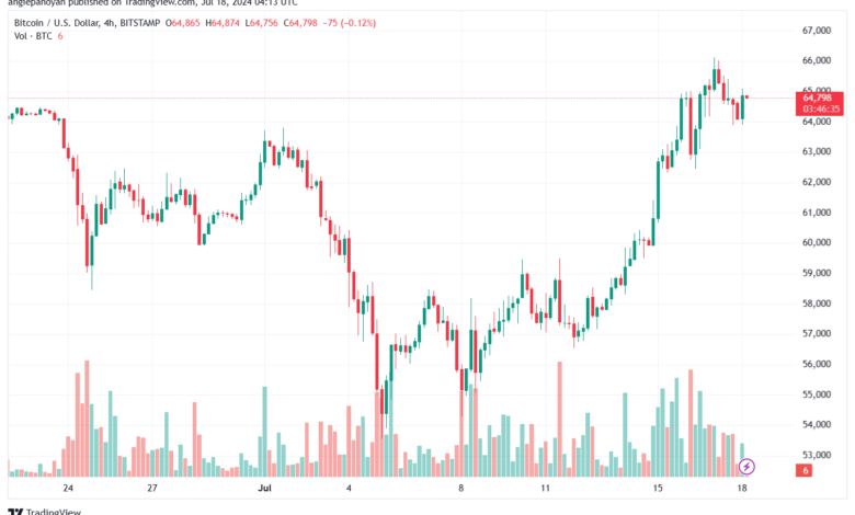 تحليل البتكوين دولار BTCUSD-18-7-2024