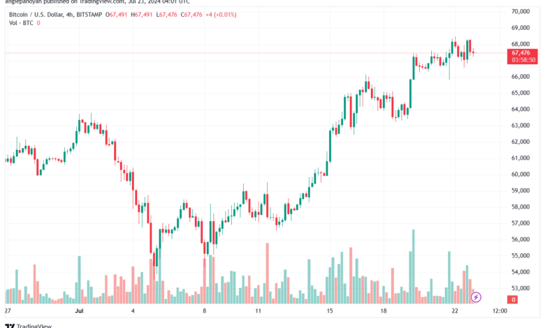 تحليل البتكوين دولار BTCUSD-23-7-2024