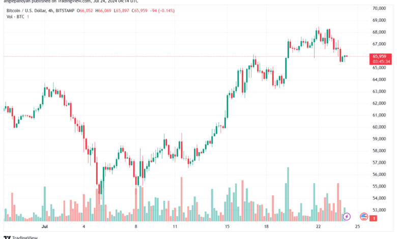 تحليل البتكوين دولار BTCUSD-24-7-2024