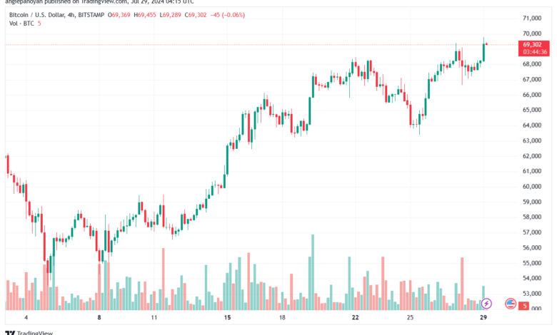 تحليل البتكوين دولار BTCUSD-29-7-2024