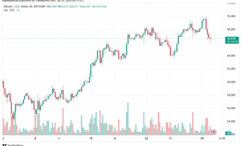 تحليل البتكوين دولار BTCUSD-30-7-2024